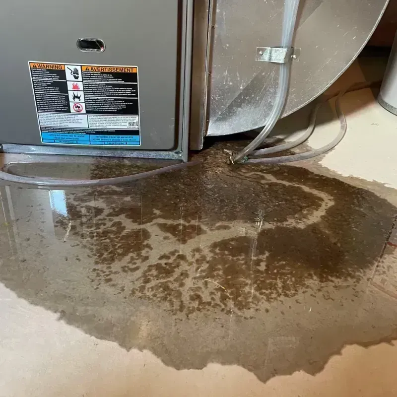 Appliance Leak Cleanup in Rome, IL